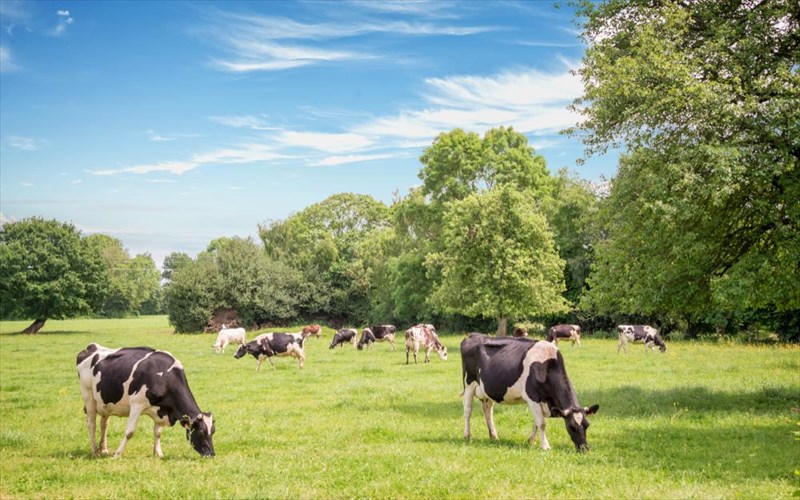 i-galliki-eksoxi-prostateuetai-dia-nomou