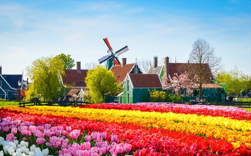 5-online-empeiries-gia-taksidia-sti-fusi-online-empeiries-gia-taksidia-sti-fusi