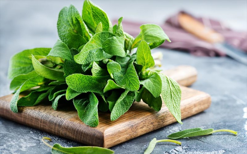 mathete-giati-prepei-na-sunexisete-na-pinete-faskomilo