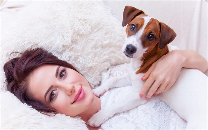 pos-mporei-to-agapimeno-sas-skuli-na-einai-o-kaluteros-sumboulos-ugeias-kaluteros-sumboulos-ugeias