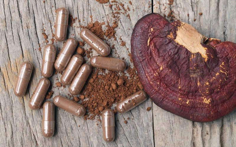 tessera-therapeutika-manitaria-pou-prepei-na-mathete