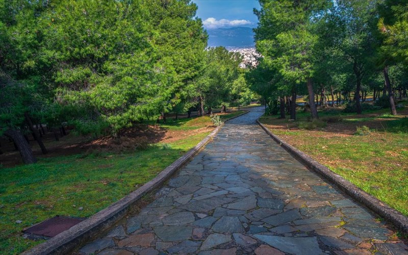 3-simeia-gia-prasino-stin-athina-simeia-gia-prasino-stin-athina