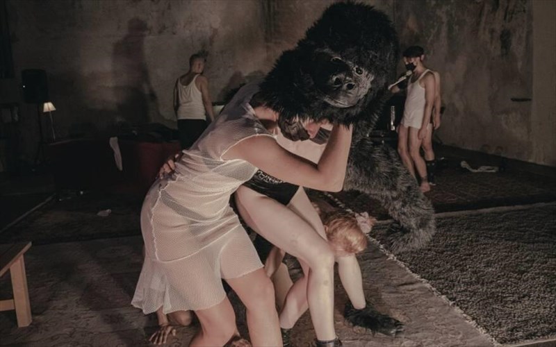 to-koritsi-pou-ginetai-gorilas-kai-alles-istories-anarrosis-apo-tous-biku-adamou-kai-xristo-kapeni