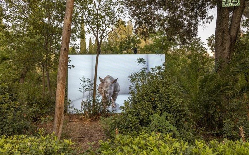 i-stegi-mas-kalei-na-eksereunisoume-tin-texniti-noimosuni-sto-pedion-tou-areos