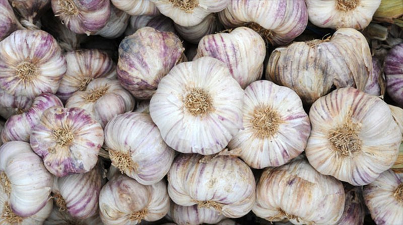 alloi-protimoun-to-embolio-kai-alloi-toskordo