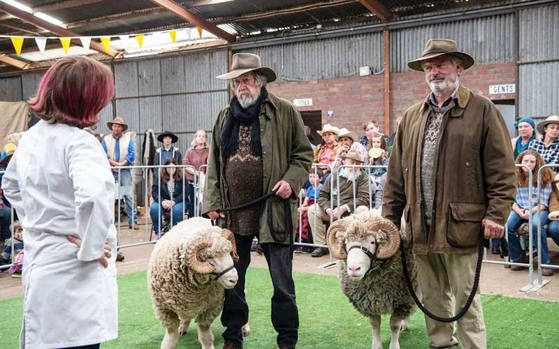 oi-tainies-tis-ebdomadas-050821