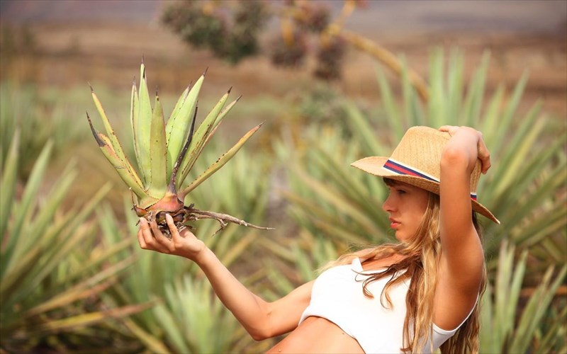 aloi-bera-to-thaumatourgo-sustatiko-pou-den-prepei-na-leipei-apo-tin-kalokairini-sas-routina