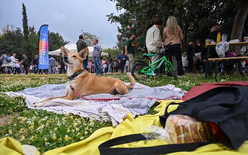 protomagiatiko-pik-nik-sto-kentro-tis-athinas