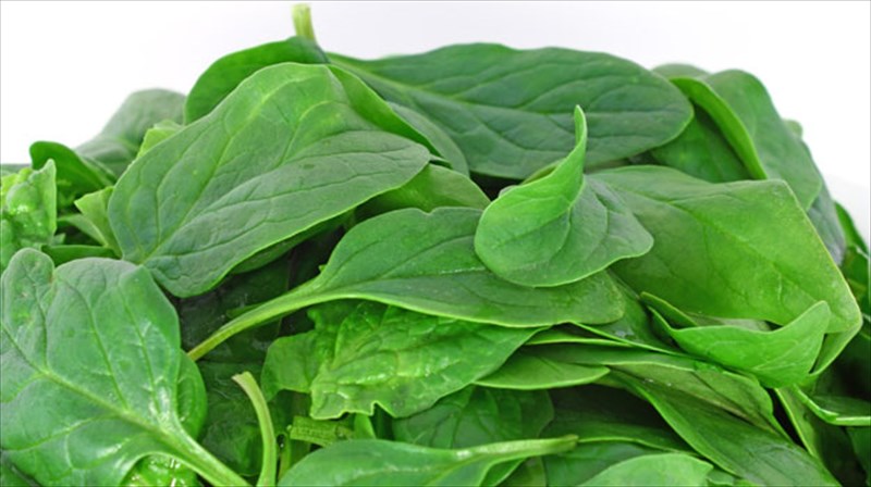 trofes-opla-kata-tou-stres