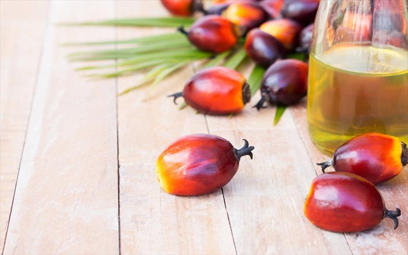 ola-osa-thelate-na-mathete-gia-to-foinikelaio