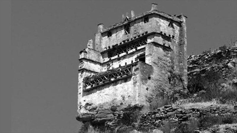 oi-peristeriones-tis-tinou-mesa-apo-ton-fotografiko-fako