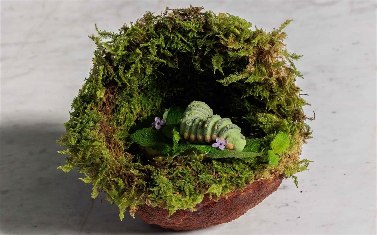 delta-prasini-kampia-apo-pagomena-fulla-nerantzias-kai-elato