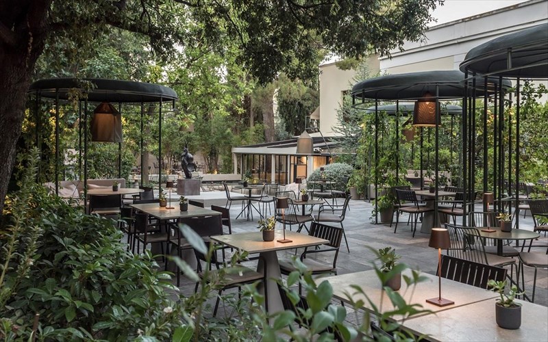 natu-enas-droseros-paradeisos-stin-kardia-tis-kifisias