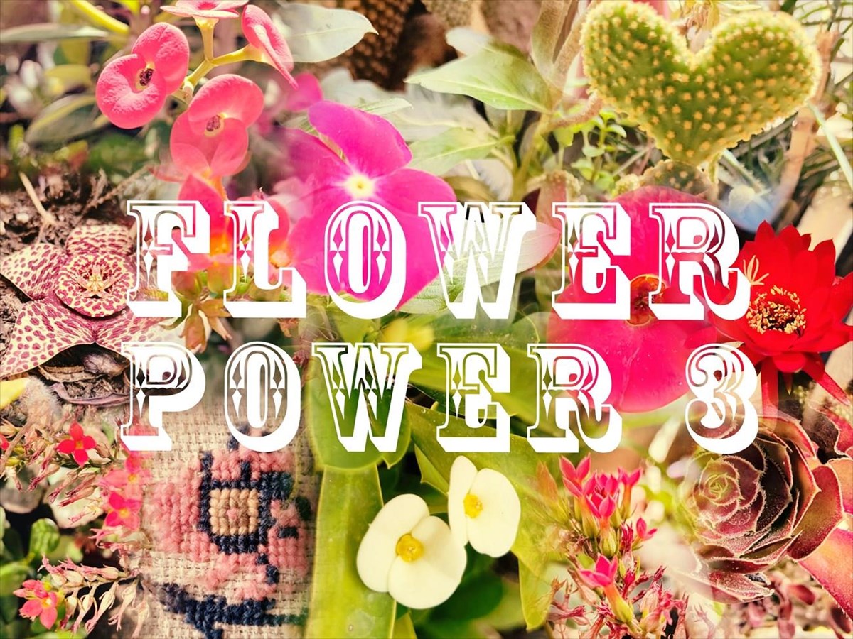 flower-power-3