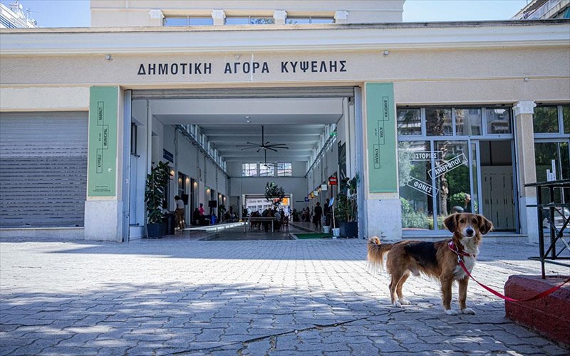 o-ioulios-sti-dimotiki-agora-kupselis-einai-gematos-ekdiloseis