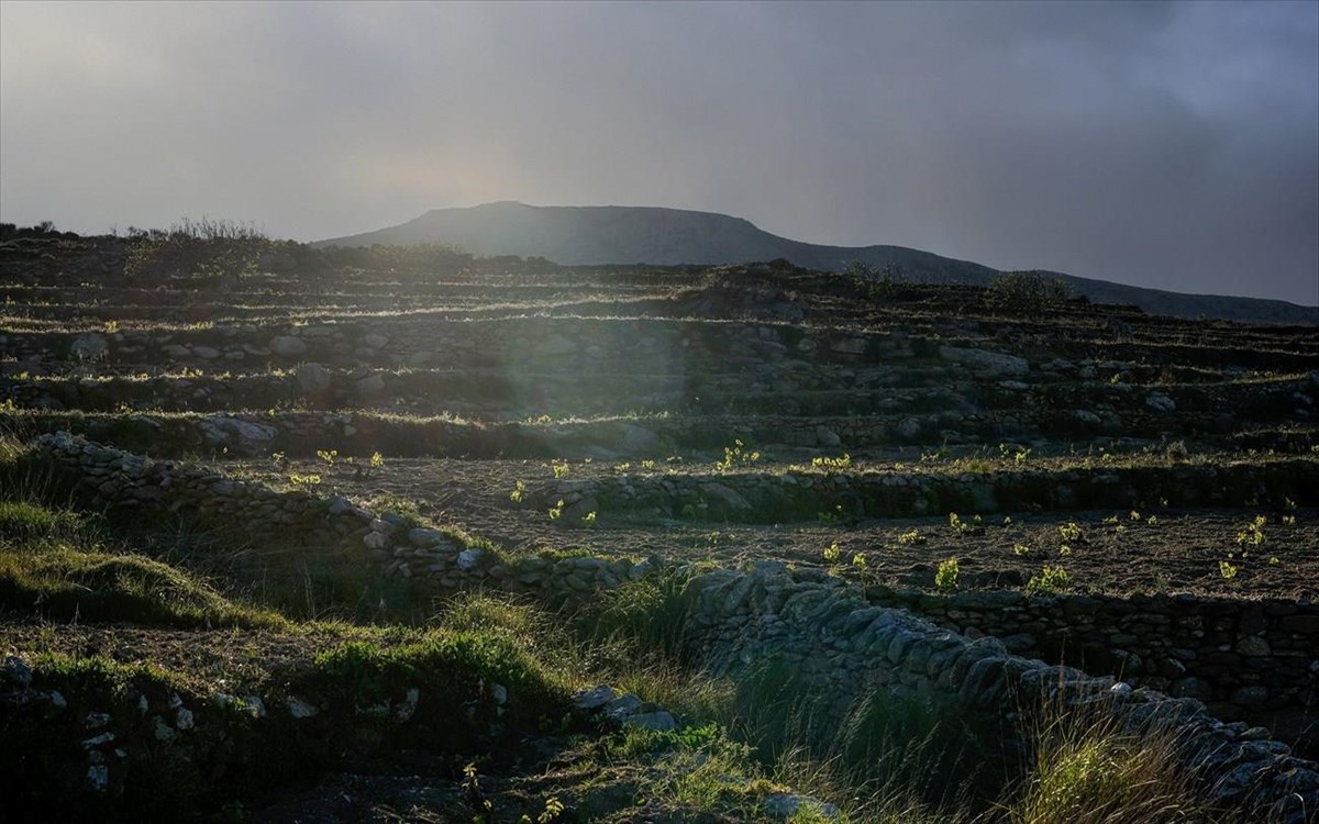 paros-farming-community