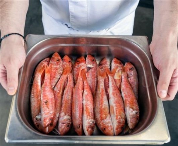 iodio-neo-opening-me-thalassino-aera-kai-astrafteri-upografi-sto-kolonaki