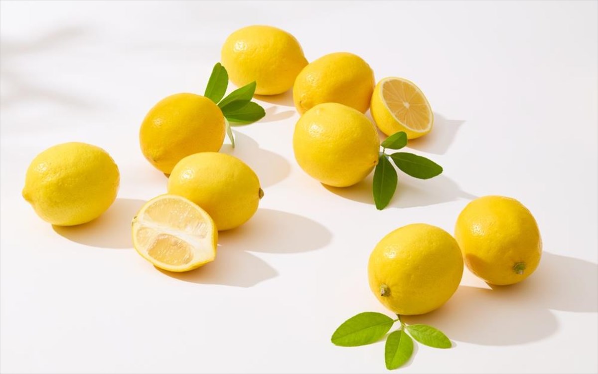 lemonia