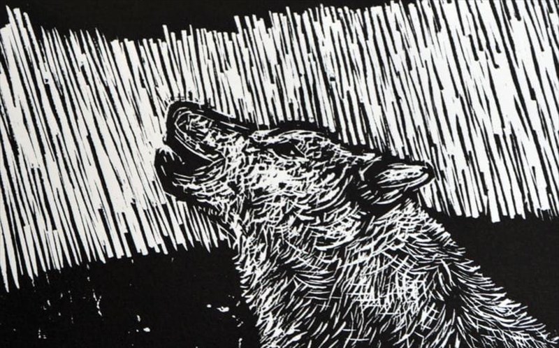 i-rea-galanaki-anarotietai-pou-zei-o-lukos-lukos