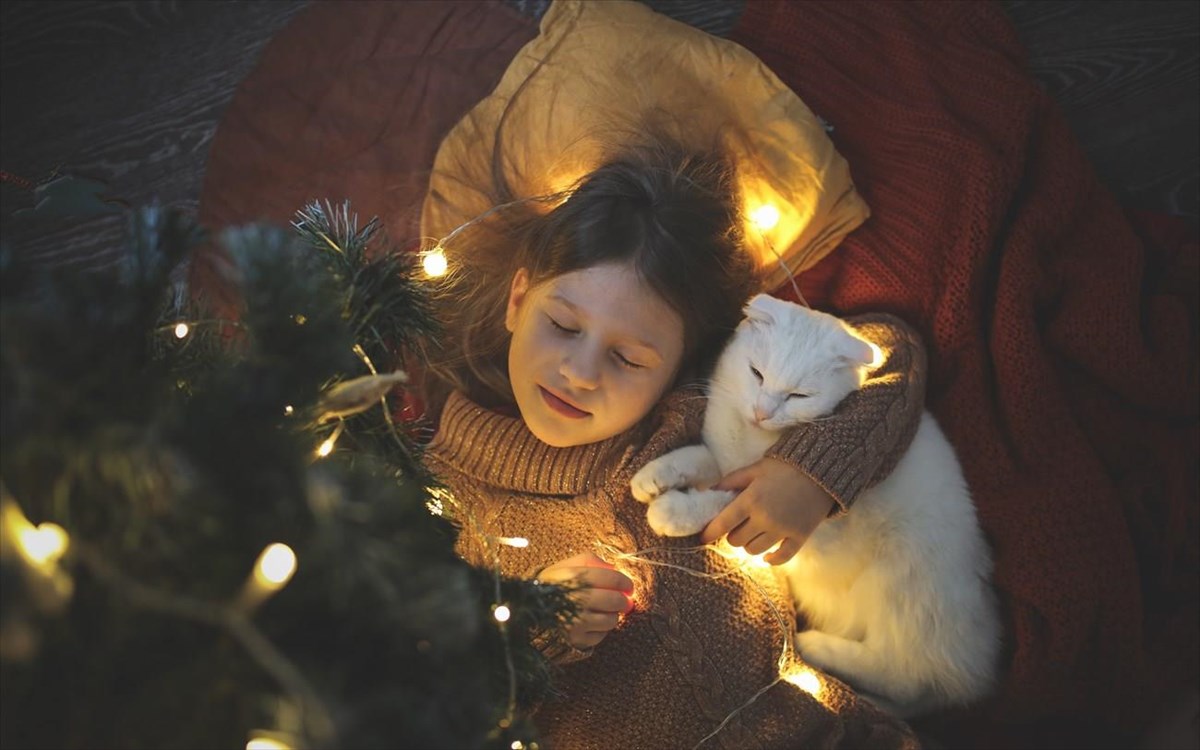 catandagirlsleepingtogetherunderthechristmastree