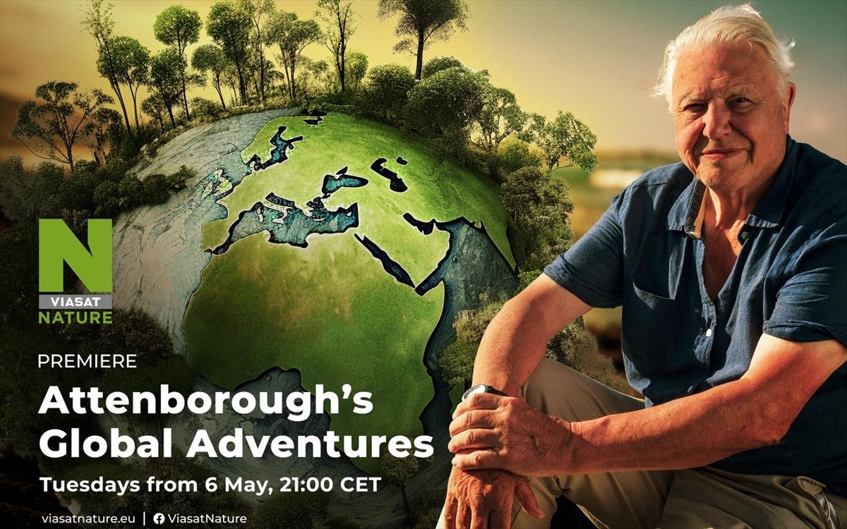 viasat-nature-boroughs-global-adventure2still005butterfly