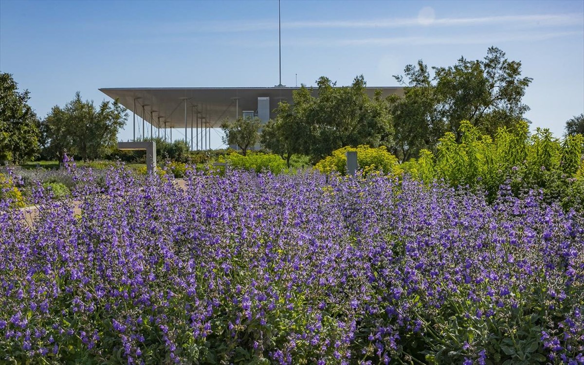 kpisnto-anthismeno-parko-stauros-niarxos