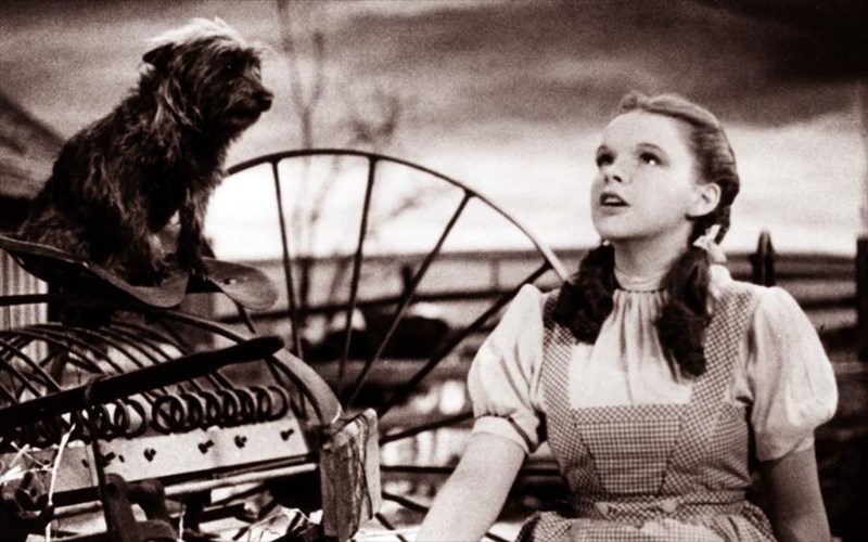 10-agapimena-tragoudia-me-oskar