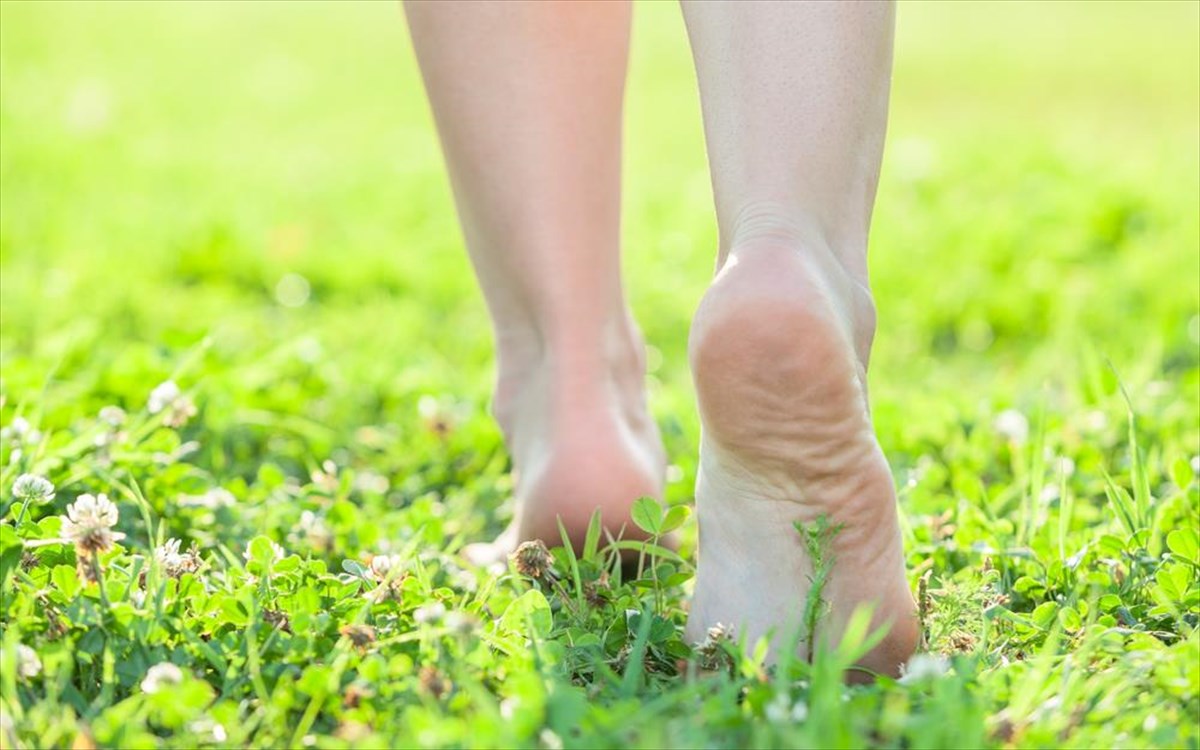 podia-perpatima-fusi