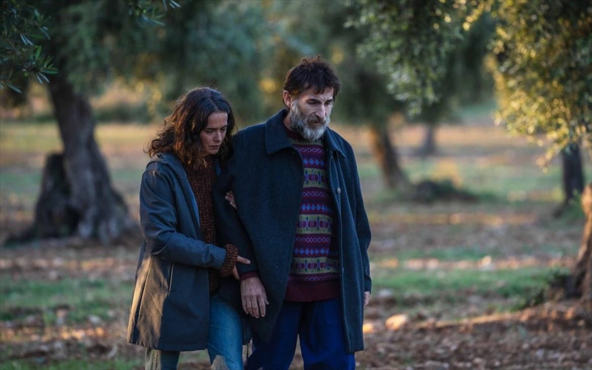 destelloslaialluchdsc03580