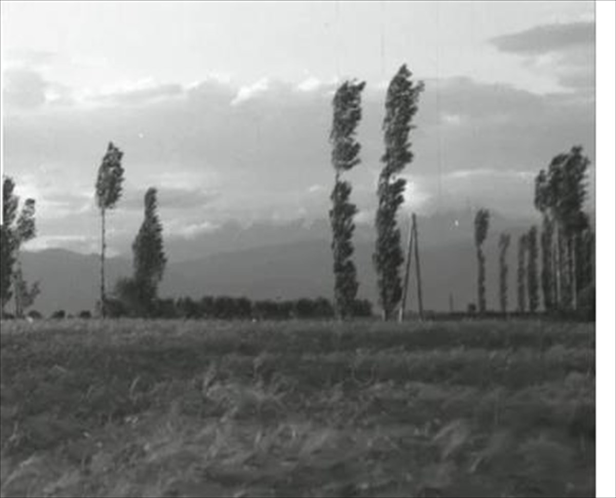 tha-pesei-i-nuxta-nuxta