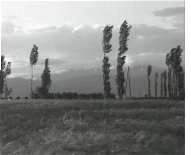 tha-pesei-i-nuxtaena-sarotiko-muthistorimagia-tin-anagki-uperaspisis-tou-kalou-nuxtaena-sarotiko-muthistorimagia-tin-anagki-uperaspisis-tou-kalou