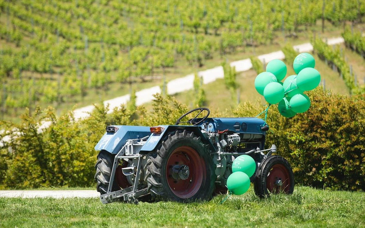 mple-trakter-kur-gianni