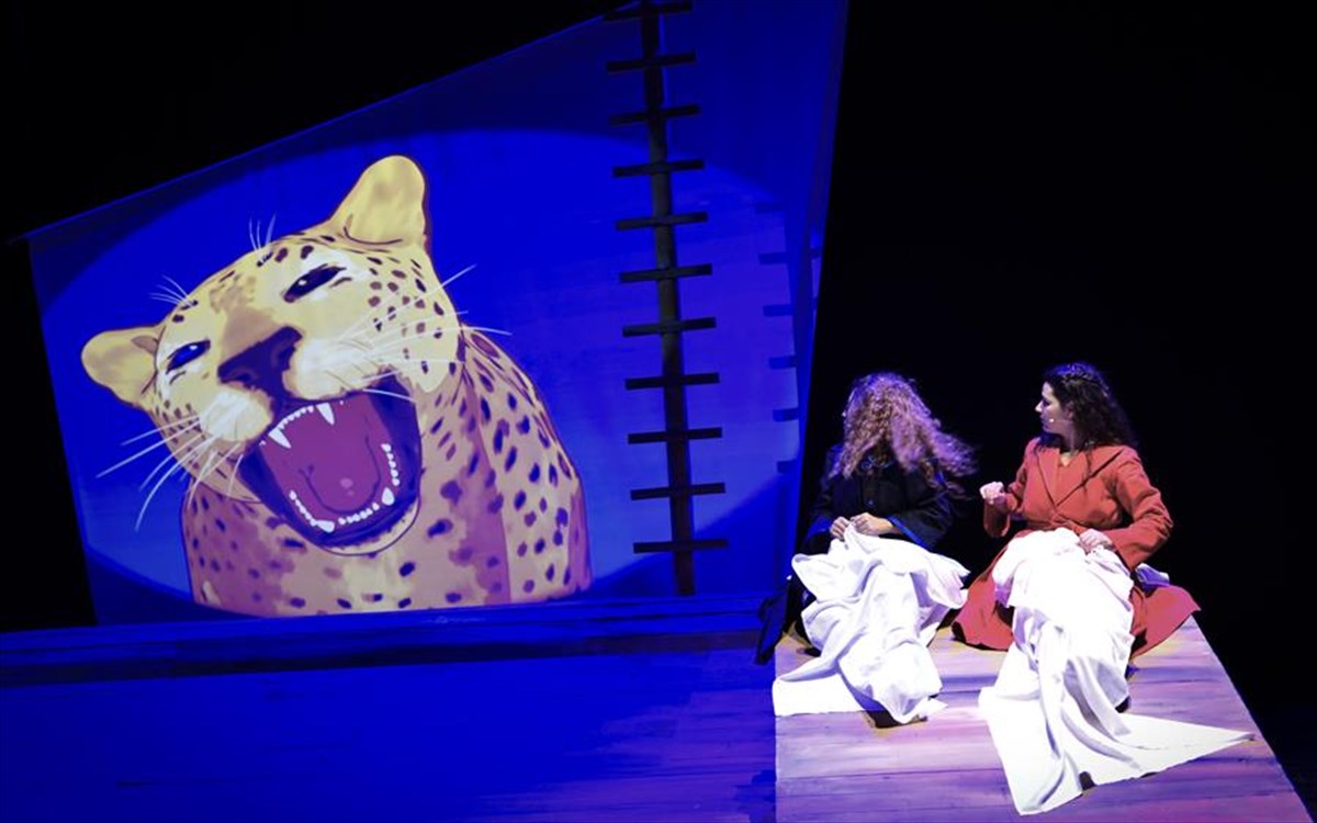 to-kaplani-tis-bitrinas-photo