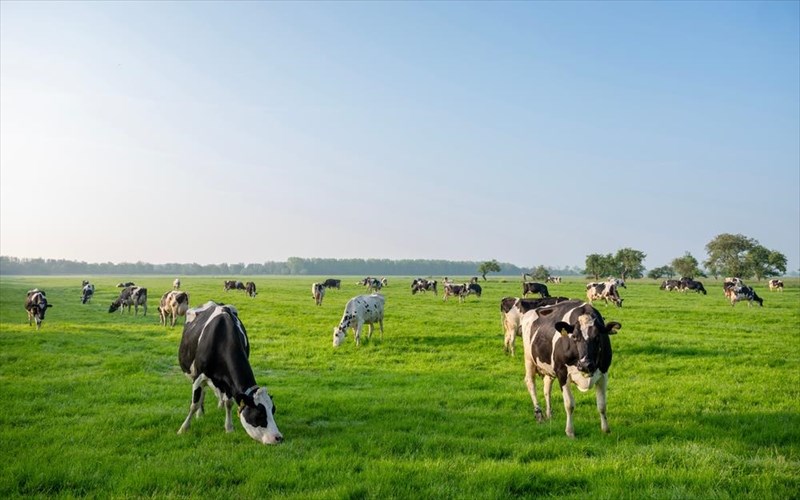 kreas-kai-ximika-otan-i-etiketa-biologiko-den-arkei-etiketa-biologiko-den-arkei