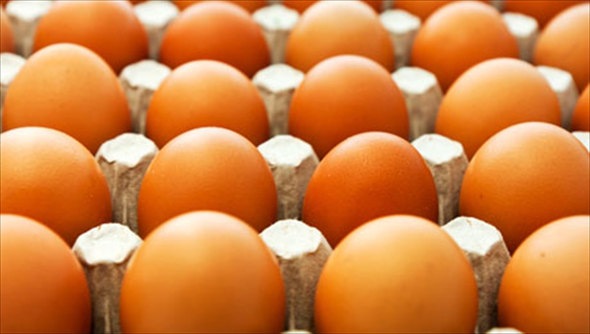 dioksini-mia-nea-apeili-gia-tin-ugeia-mas