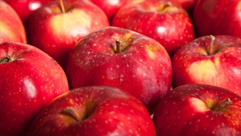 polutimes-sumboules-diatrofis-apo-ton-diatrofologo-e-zoumpanea