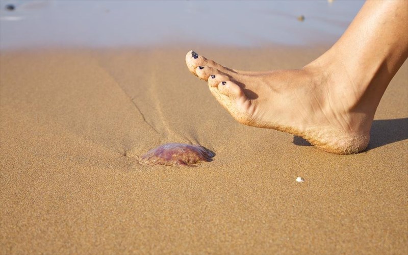 tsimpimata-tsouxtras-egkaumata-kalokairinoi-erethismoi-pos-ta-antimetopizoume-stis-diakopes