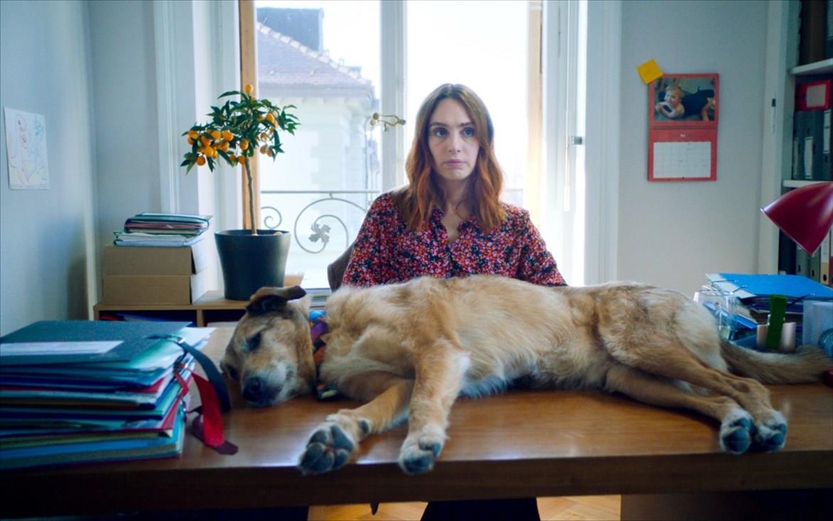 i-diki-enos-skulou-diki-enos-skulou