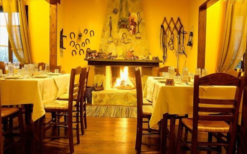 8-protaseis-gia-mezedes-dipla-sto-tzaki-protaseis-gia-mezedes-dipla-sto-tzaki