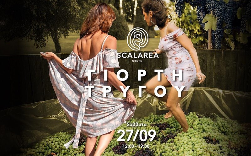 ziste-ti-mageia-tou-kritikou-ampelona-sto-ktima-scalarea