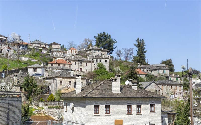 aristi-dilofo-kai-bitsa-3-magemena-xoria-sta-zagoroxoria-magemena-xoria-sta-zagoroxoria