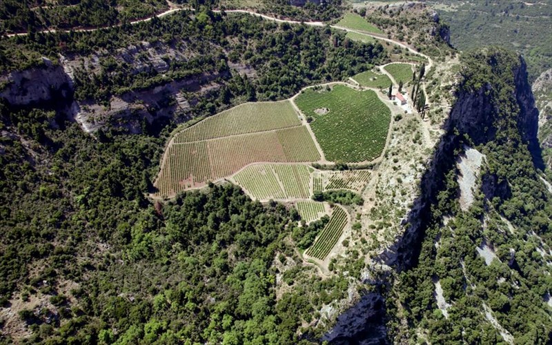 zisame-duo-meres-stous-dromous-tou-krasiou-peloponnisou