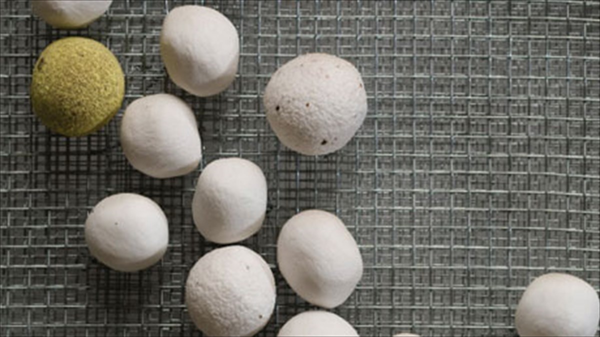 kuttara-kai-moria-kato-apo-ton-tholo-tou-planitariou