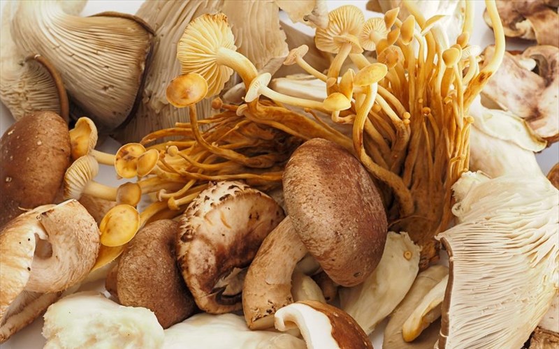 kinduneuoume-apo-toksikes-ousies-sta-manitaria