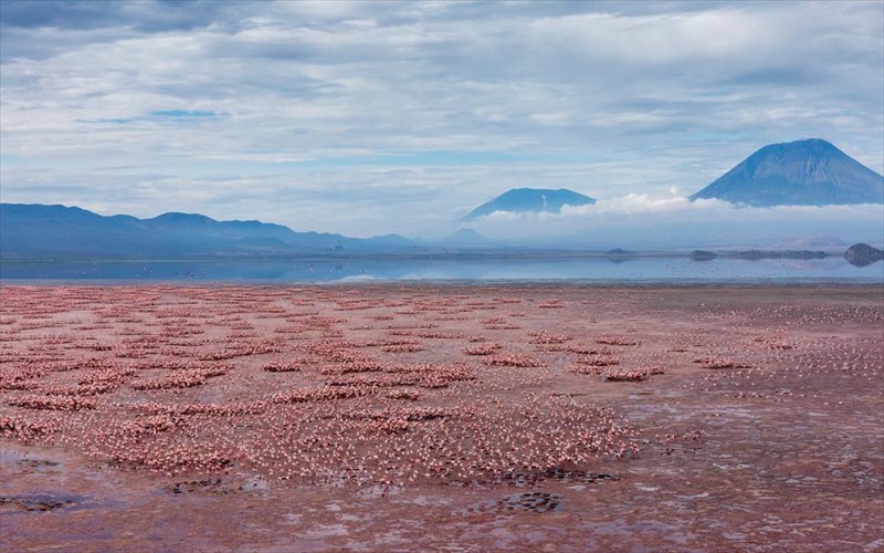 limni-natron-to-purino-nero-tis-tanzanias