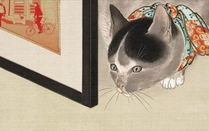 oi-gates-tou-sintzoukou-mia-truferi-istoria-gia-ti-monaksia-tis-pliges-kai-tis-gates-pou-enonoun