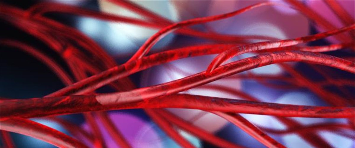 poso-gernoun-ta-aggeia-sas-an-kanete-kathistiki-zoi