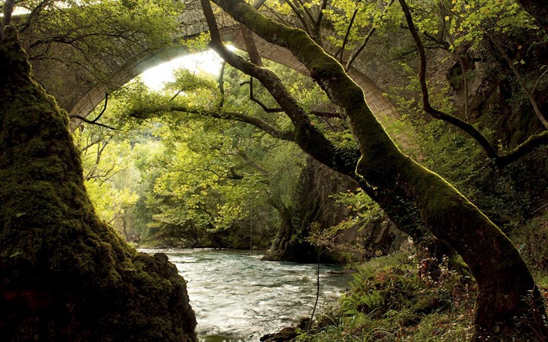 i-axaia-anaptuksiaki-ae-basikos-pulonas-biosimis-kai-topikis-anaptuksis
