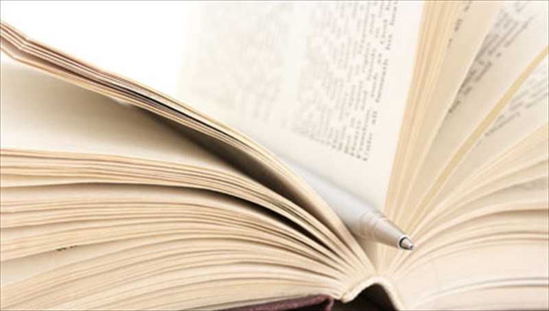 o-logotexnis-pou-misouse-ta-brabeia