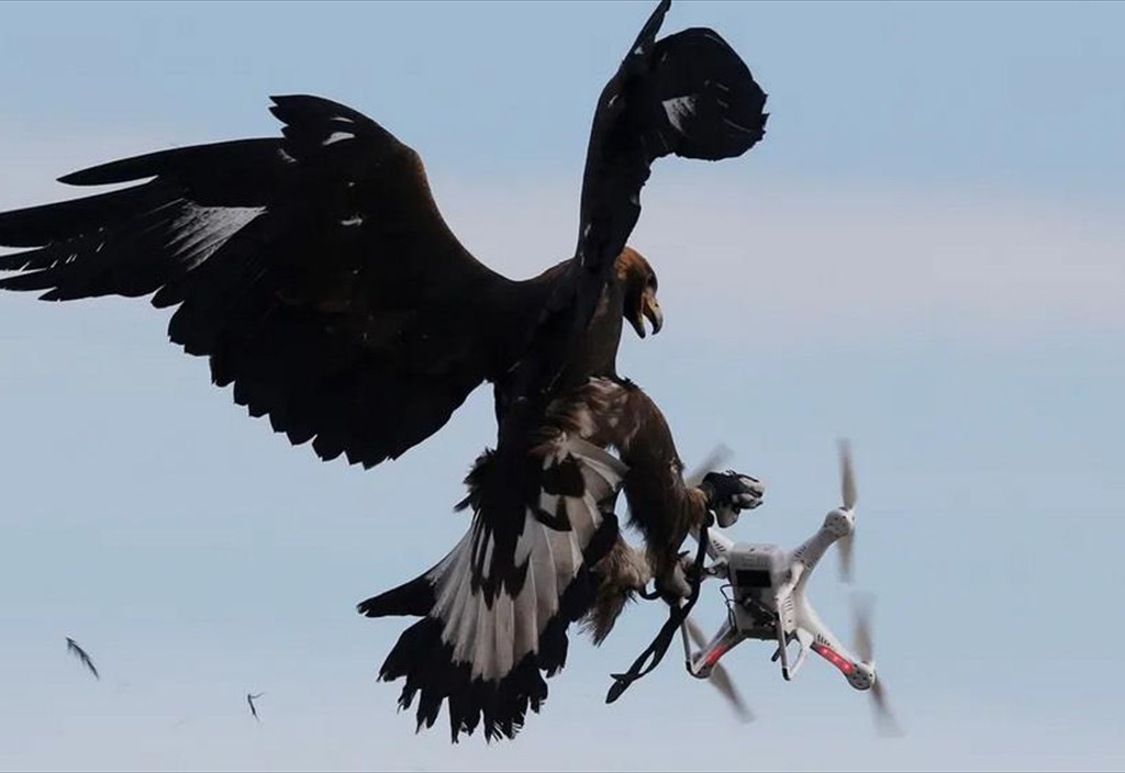 ekpaideumenoi-aetoi-kai-suskeuis-parembolon-poso-makria-tha-ftasei-to-xolugount-apo-ta-adiakrita-drones